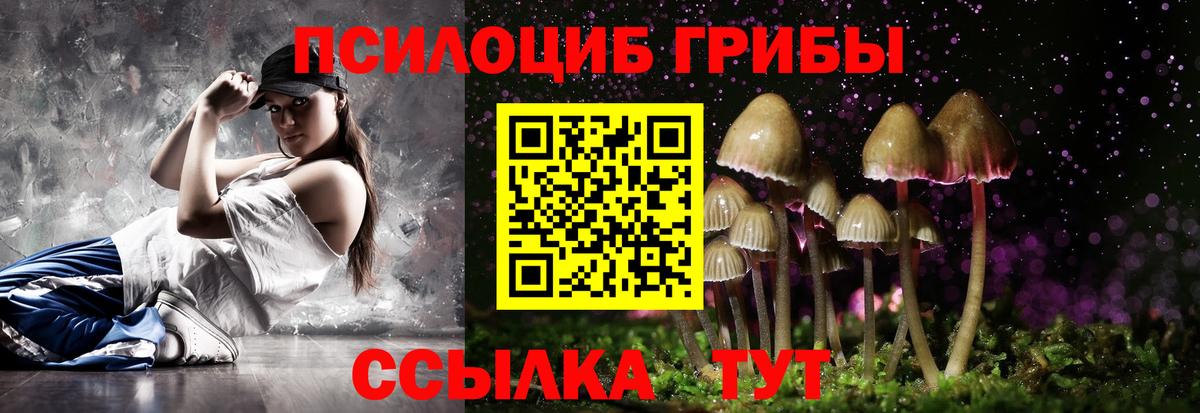 Галлюциногенные грибы Psilocybe  купить наркотик  Галлюциногенные грибы прущие грибы  Орёл  Вход с VPN 