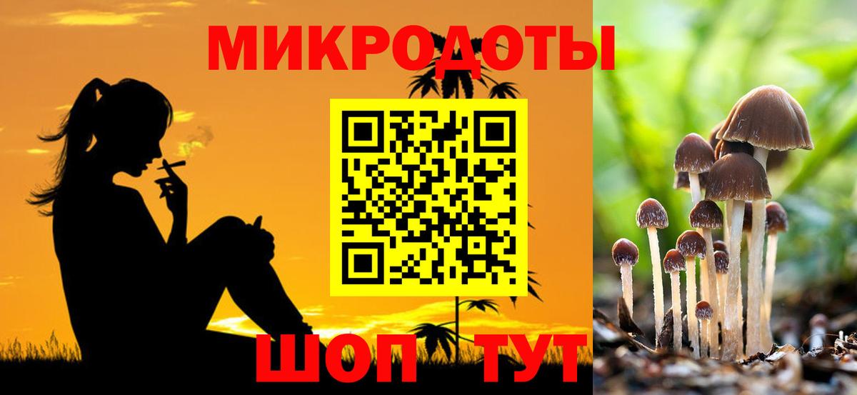 Псилоцибиновые грибы GOLDEN TEACHER Орёл